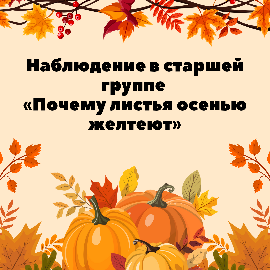  Наблюдение в старшей группе "Почему листья осенью желтеют"